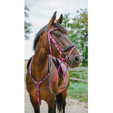 Bridon endurance Norton Pop Rose