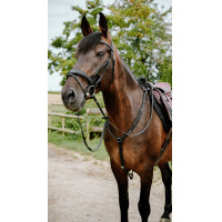 Bridon endurance Norton Pop Rose Bridon endurance Norton Pop Rose