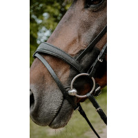 Bridon endurance Norton Pop Rose Bridon endurance Norton Pop Rose