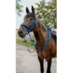 Bridon endurance Norton Pop Bleu roi