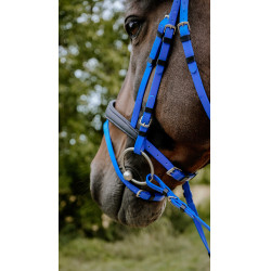 Bridon endurance Norton Pop Bleu roi