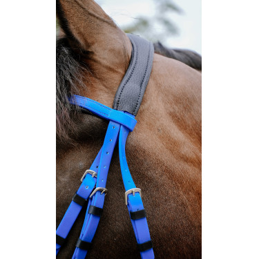Bridon endurance Norton Pop Bleu roi