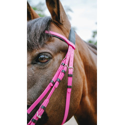 Bridon endurance Norton Pop Rose