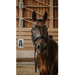 Bridon Norton Diams Noir