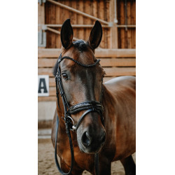 Bridon Norton Royal Noir