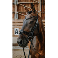 Bridon Norton Royal Noir