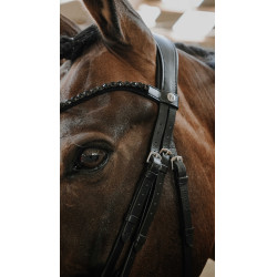 Bridon Norton Royal Noir
