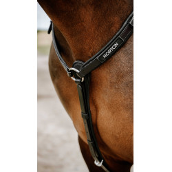 Collier de chasse Endurance Norton Pop Noir Collier de chasse Endurance Norton Pop Noir