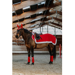 Couvre-reins Equithème Xmas