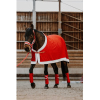 Licol + longe Equithème  Xmas Rouge Licol + longe Equithème  Xmas Rouge