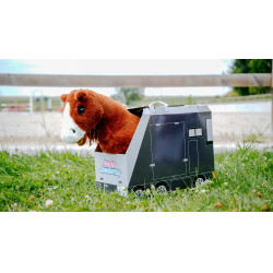 Mini-poney Jumpy Pony Academy Orange