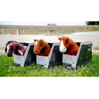 Mini-poney Jumpy Pony Academy Orange Mini-poney Jumpy Pony Academy Orange