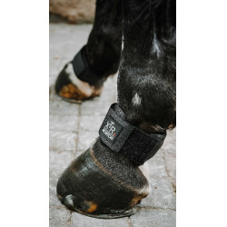 Protège paturon Norton XTR Gel