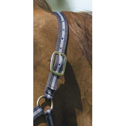 Licol nylon doublé cuir Norton Marine / ciel Bleu