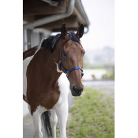 Licol Equithème Nylon Bleu marine Licol Equithème Nylon Bleu marine