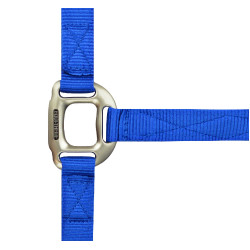 Licol Equithème Nylon Bleu roi Licol Equithème Nylon Bleu roi