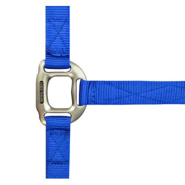 Licol Equithème Nylon Bleu roi Licol Equithème Nylon Bleu roi
