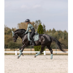 Tapis de selle Waldhausen Nepal Bleu argenté