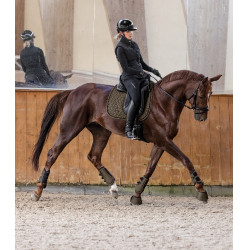 Tapis de selle Waldhausen Philadelphia Brun vert Tapis de selle Waldhausen Philadelphia Brun vert