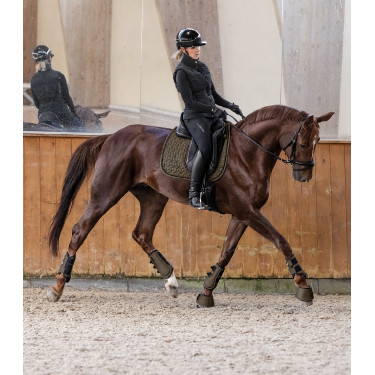 Tapis de selle Waldhausen Philadelphia Brun vert Tapis de selle Waldhausen Philadelphia Brun vert