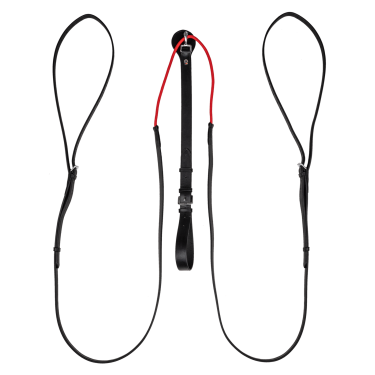 Rênes triangulaire W-train Waldhausen Noir