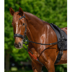 Rênes triangulaire W-train Waldhausen Noir