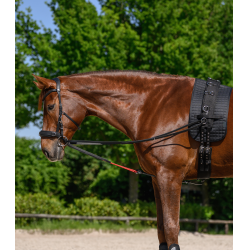 Rênes triangulaire W-train Waldhausen Noir