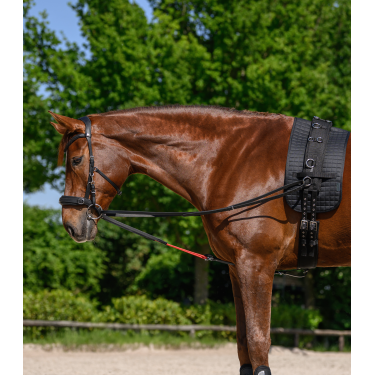 Rênes triangulaire W-train Waldhausen Noir