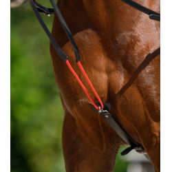 Rênes triangulaire W-train Waldhausen Noir