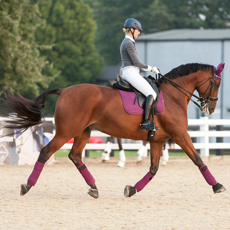 Tapis LeMieux Suede Dressage Square Tapis LeMieux Suede Dressage Square