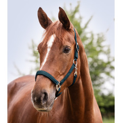 Licol Waldhausen Satin Bleu pétrole