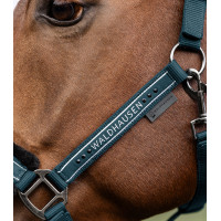 Licol Waldhausen Elegant Noir Licol Waldhausen Elegant Noir