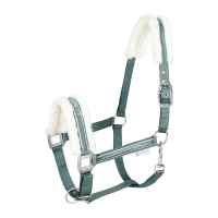 Licol Waldhausen Elegant Vert pin