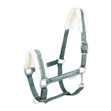 Licol Waldhausen Elegant Vert pin
