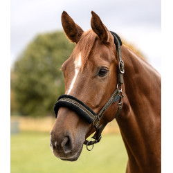 Licol Waldhausen Elegant Brun vert