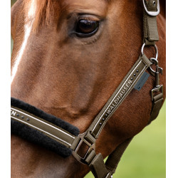 Licol Waldhausen Elegant Brun vert