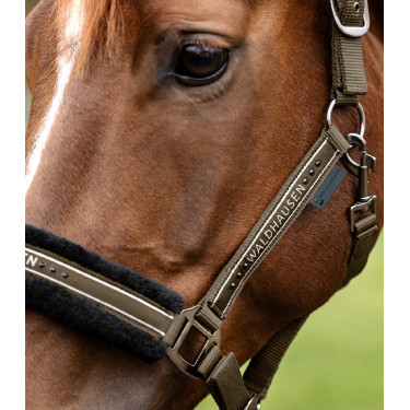 Licol Waldhausen Elegant Brun vert