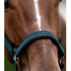 Licol Waldhausen Atheltic Bleu pétrole Licol Waldhausen Atheltic Bleu pétrole