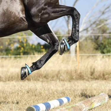 Hipposandale Scoot Boots Hipposandale Scoot Boots