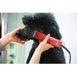 Tondeuse FAV5 Aesculap Rouge Tondeuse FAV5 Aesculap Rouge