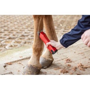 Tondeuse sur batterie FAV5 CL Horse Aesculap Tondeuse sur batterie FAV5 CL Horse Aesculap