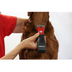 Tondeuse sur batterie Favorita CLi Aesculap Rouge Tondeuse sur batterie Favorita CLi Aesculap Rouge