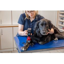 Tondeuse sur batterie Favorita CLi Aesculap Rouge Tondeuse sur batterie Favorita CLi Aesculap Rouge