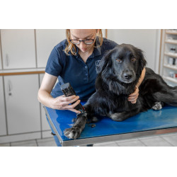 Tondeuse sur batterie Favorita CLi Aesculap Rouge Tondeuse sur batterie Favorita CLi Aesculap Rouge