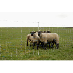 OviNet Maxi AKO Blanc / bleu OviNet Maxi AKO Blanc / bleu