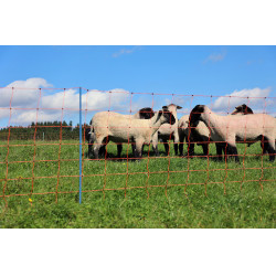 OviNet Premium AKO Orange OviNet Premium AKO Orange