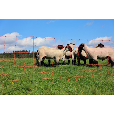 OviNet Premium AKO Orange OviNet Premium AKO Orange