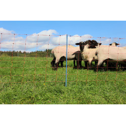 OviNet Premium AKO Orange OviNet Premium AKO Orange