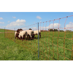 OviNet Premium AKO Orange OviNet Premium AKO Orange