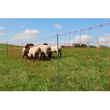 OviNet Premium AKO Orange OviNet Premium AKO Orange